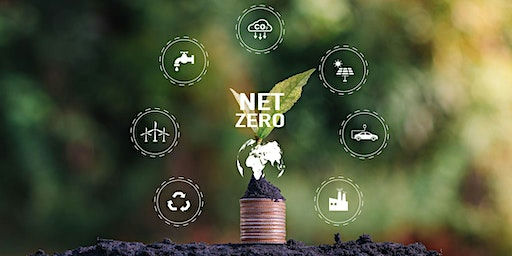 Understanding Net Zero and the Circular Economy (Sustainability Series #3)
