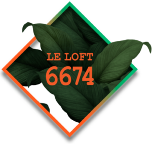 Le loft 6674